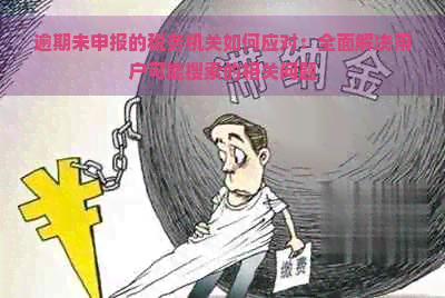 逾期未申报的税务机关如何应对：全面解决用户可能搜索的相关问题