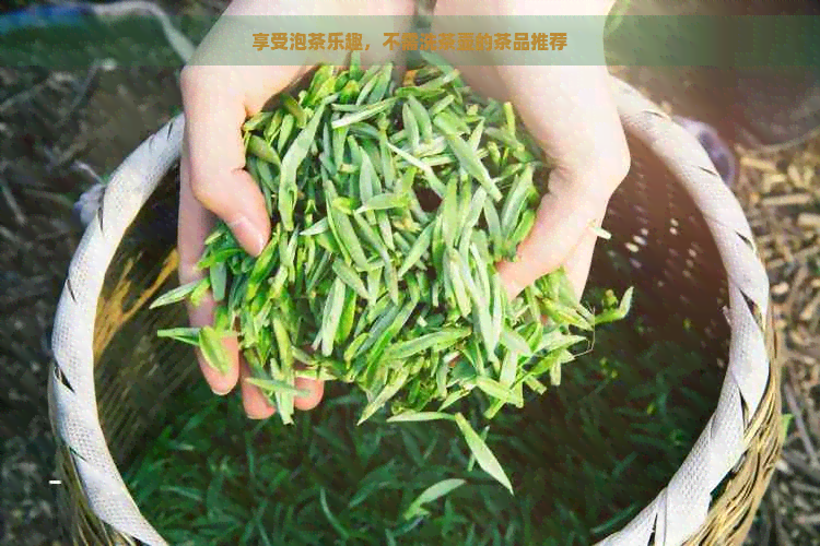 享受泡茶乐趣，不需洗茶壶的茶品推荐