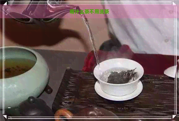 喝什么茶不用洗茶