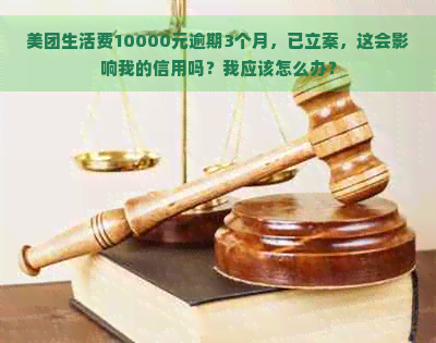 美团生活费10000元逾期3个月，已立案，这会影响我的信用吗？我应该怎么办？