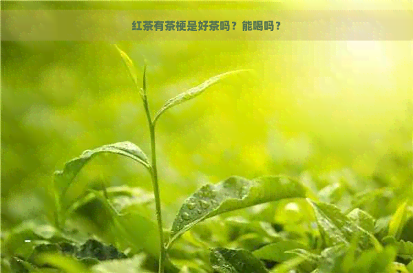 红茶有茶梗是好茶吗？能喝吗？