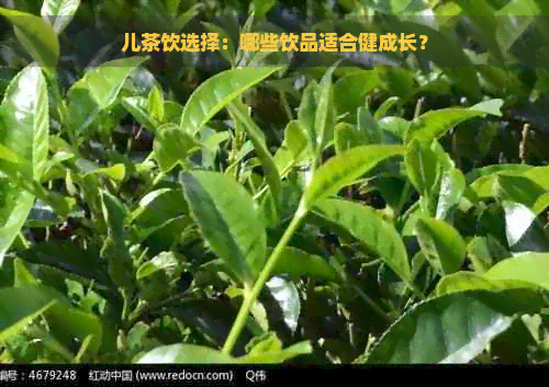 儿茶饮选择：哪些饮品适合健成长？