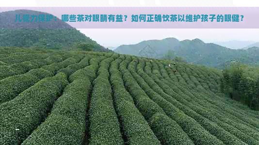 儿视力保护：哪些茶对眼睛有益？如何正确饮茶以维护孩子的眼健？