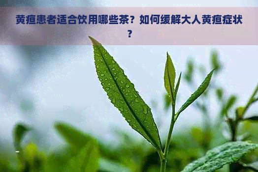 黄疸患者适合饮用哪些茶？如何缓解大人黄疸症状？