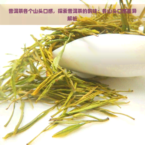 普洱茶各个山头口感，探索普洱茶的韵味：各山头口感差异解析