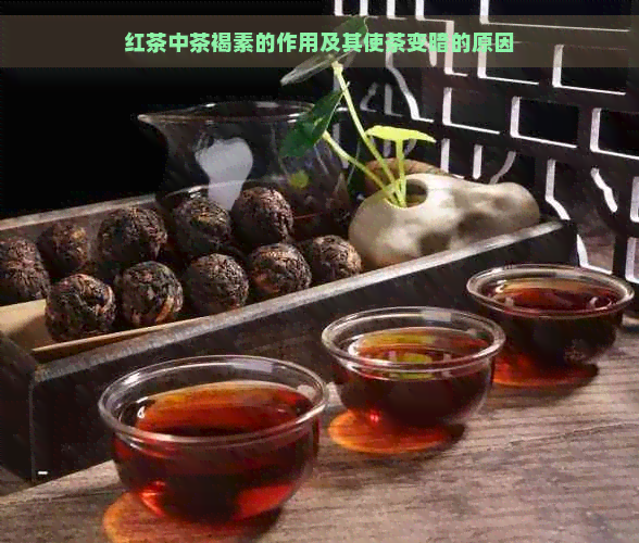 红茶中茶褐素的作用及其使茶变暗的原因