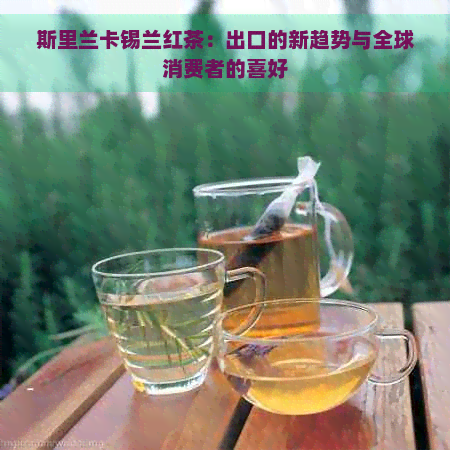 斯里兰卡锡兰红茶：出口的新趋势与全球消费者的喜好