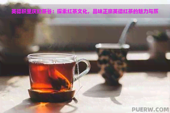 英德积里庆红茶谷：探索红茶文化，品味正宗英德红茶的魅力与历