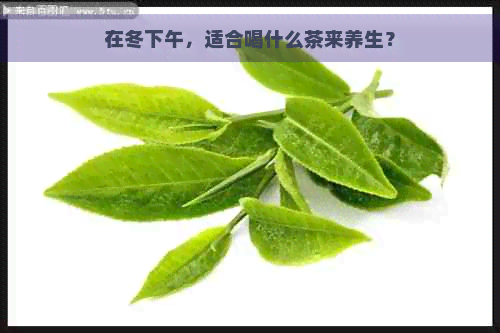 在冬下午，适合喝什么茶来养生？