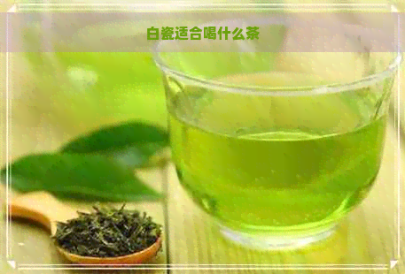 白瓷适合喝什么茶