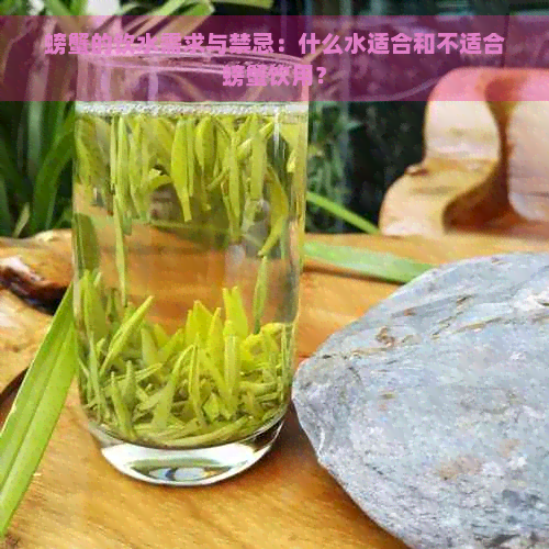 螃蟹的饮水需求与禁忌：什么水适合和不适合螃蟹饮用？