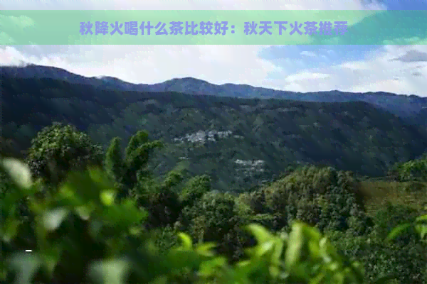 秋降火喝什么茶比较好：秋天下火茶推荐