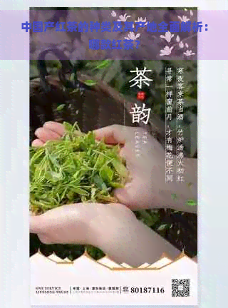 中国产红茶的种类及其产地全面解析：哪款红茶？