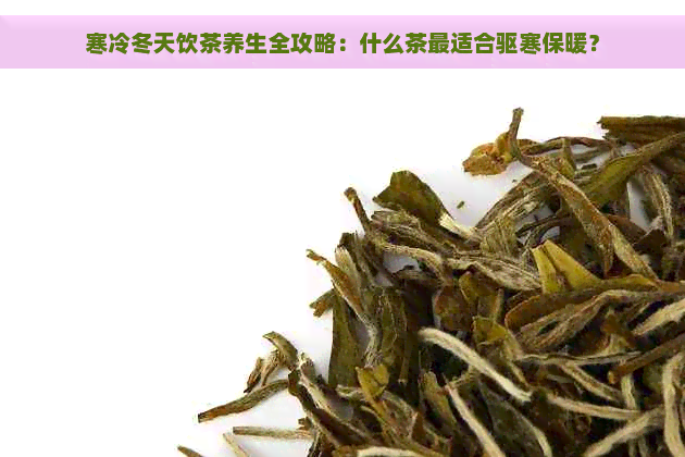 寒冷冬天饮茶养生全攻略：什么茶最适合驱寒保暖？