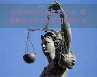 逾期5000元两年未还款，你需要支付多少利息和费用？这里是详细资讯