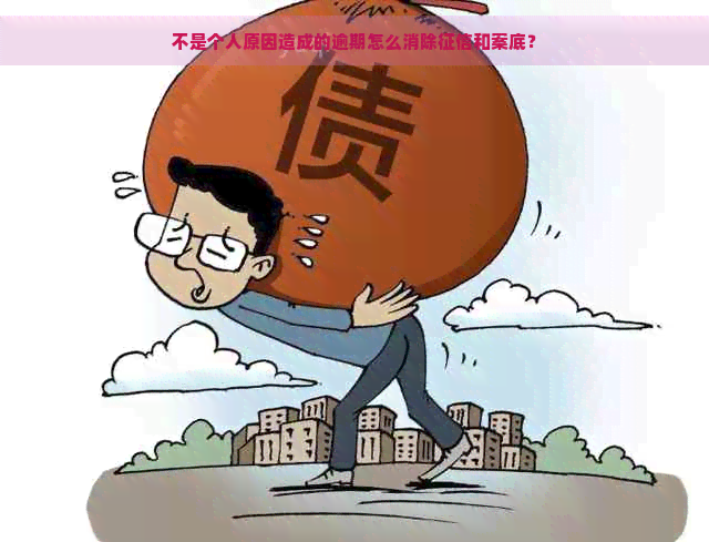 不是个人原因造成的逾期怎么消除和案底？