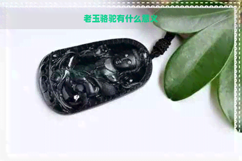 老玉骆驼有什么意义