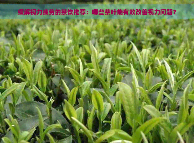 缓解视力疲劳的茶饮推荐：哪些茶叶能有效改善视力问题？