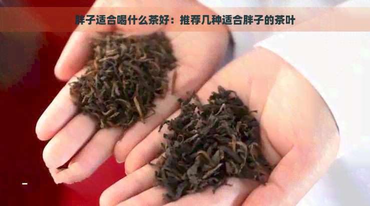 胖子适合喝什么茶好：推荐几种适合胖子的茶叶