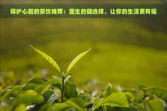 保护心脏的茶饮推荐：医生的健选择，让你的生活更有福