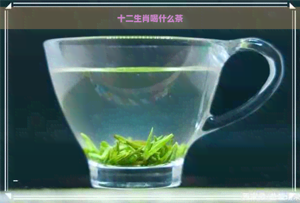 十二生肖喝什么茶