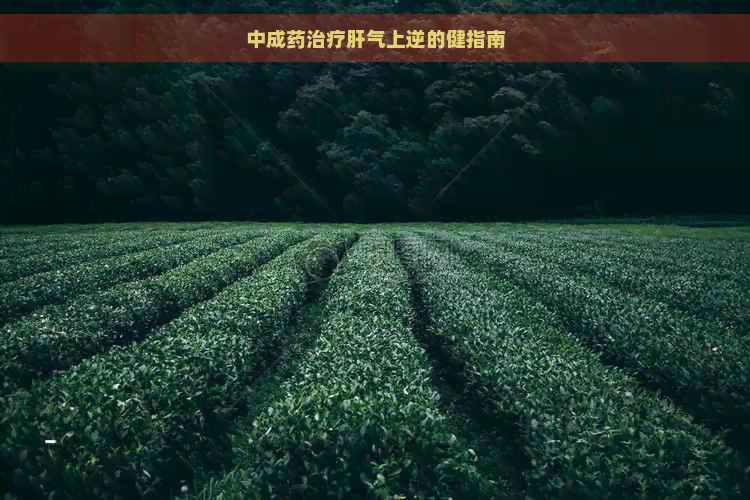 中成药治疗肝气上逆的健指南