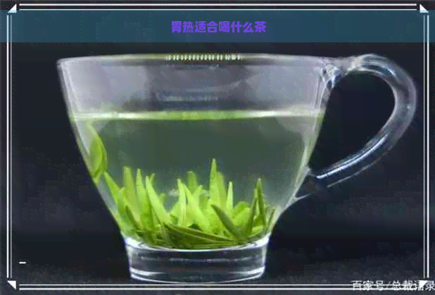 胃热适合喝什么茶