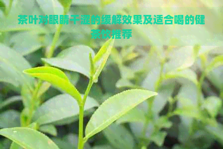 茶叶对眼睛干涩的缓解效果及适合喝的健茶饮推荐