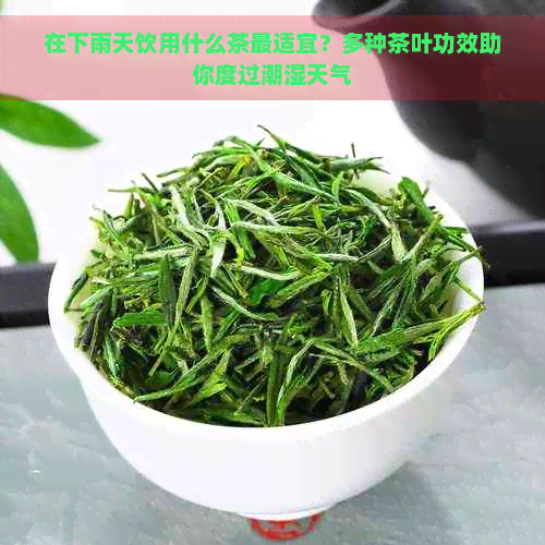 在下雨天饮用什么茶最适宜？多种茶叶功效助你度过潮湿天气