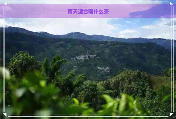 雨天适合喝什么茶