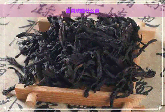 熙喜欢喝什么茶