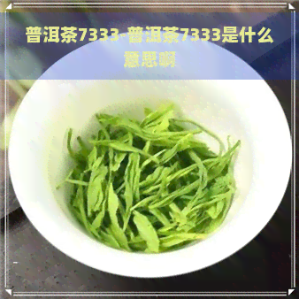 普洱茶7333-普洱茶7333是什么意思啊