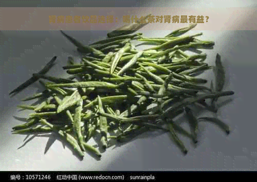 肾病患者饮品选择：喝什么茶对肾病最有益？