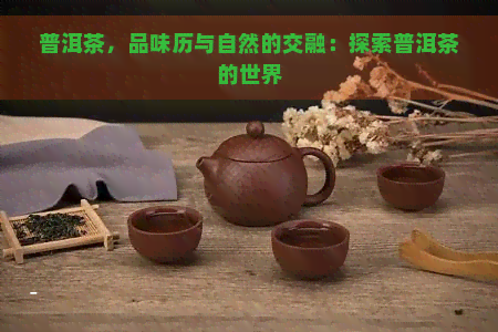 普洱茶，品味历与自然的交融：探索普洱茶的世界