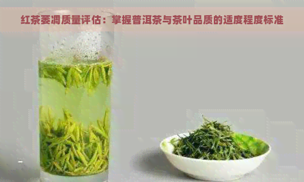 红茶萎凋质量评估：掌握普洱茶与茶叶品质的适度程度标准