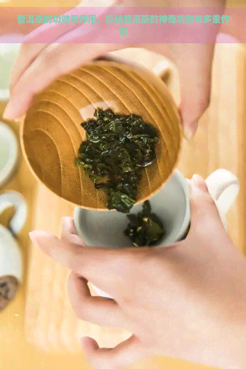 普洱茶的功效与作用，探秘普洱茶的神奇功效与多重作用