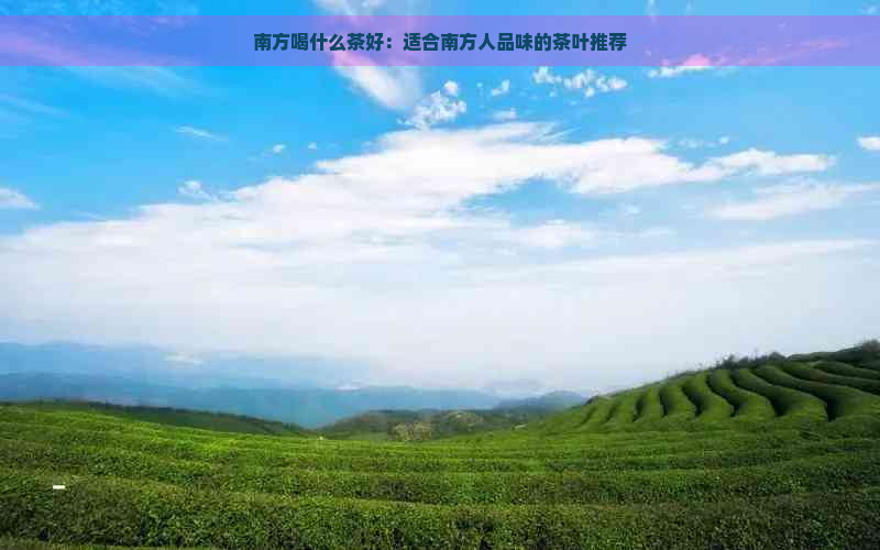 南方喝什么茶好：适合南方人品味的茶叶推荐