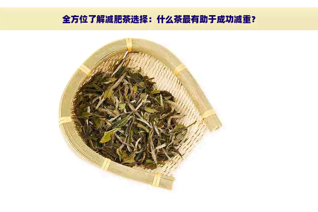 全方位了解减肥茶选择：什么茶最有助于成功减重？