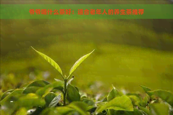 爷爷喝什么茶好：适合老年人的养生茶推荐