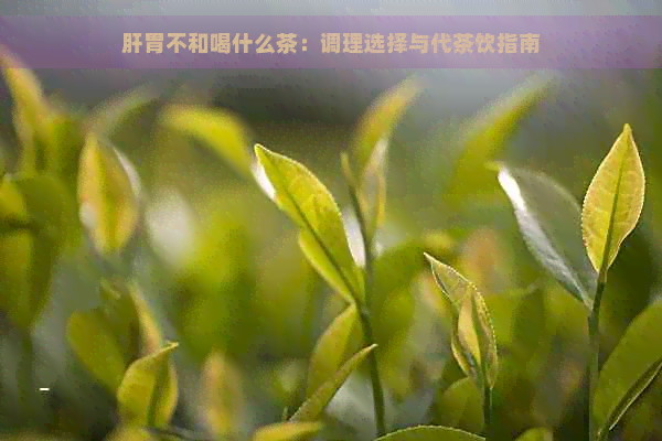 肝胃不和喝什么茶：调理选择与代茶饮指南