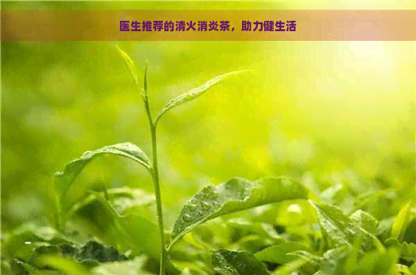 医生推荐的清火消炎茶，助力健生活