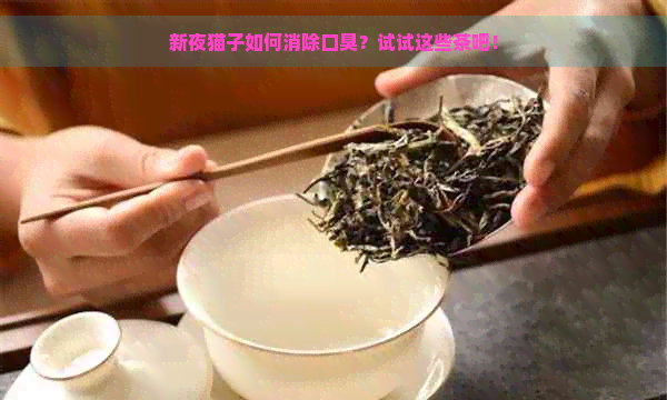 新夜猫子如何消除口臭？试试这些茶吧！