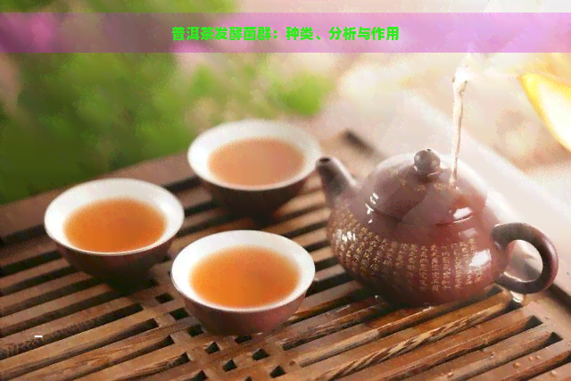 普洱茶发酵菌群：种类、分析与作用