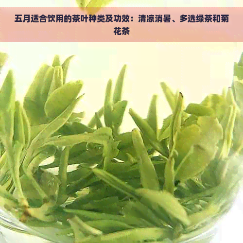 五月适合饮用的茶叶种类及功效：清凉消暑、多选绿茶和菊花茶