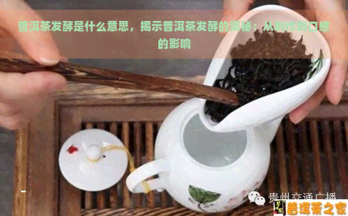 普洱茶发酵是什么意思，揭示普洱茶发酵的奥秘：从制作到口感的影响