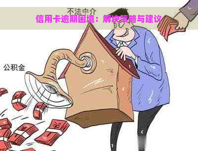 信用卡逾期困境：解决策略与建议