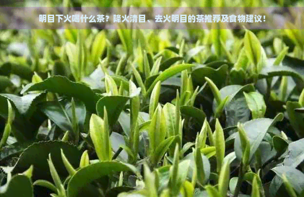 明目下火喝什么茶？降火清目、去火明目的茶推荐及食物建议！