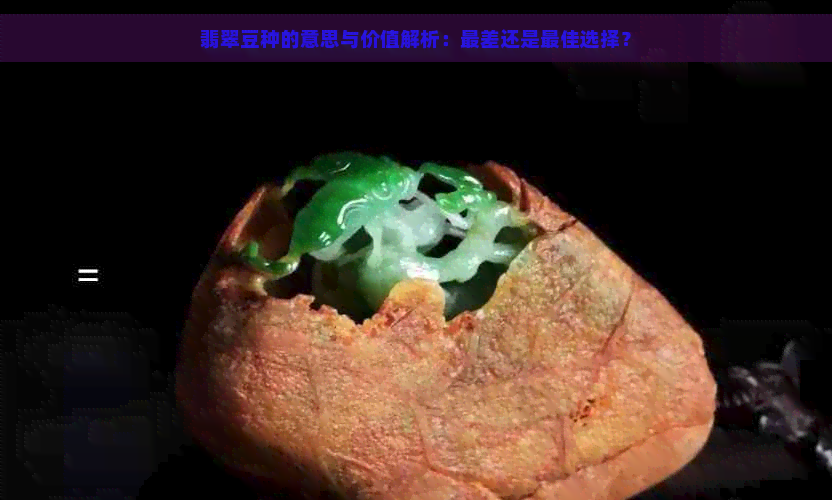 翡翠豆种的意思与价值解析：最差还是更佳选择？