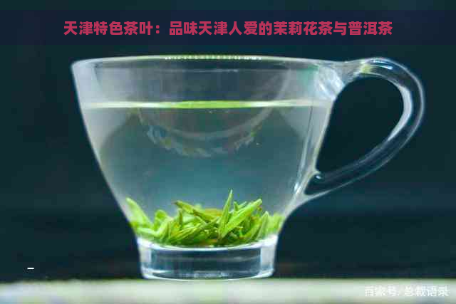 天津特色茶叶：品味天津人爱的茉莉花茶与普洱茶