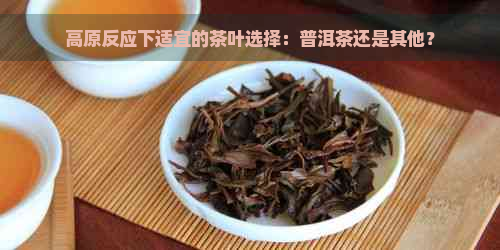 高原反应下适宜的茶叶选择：普洱茶还是其他？